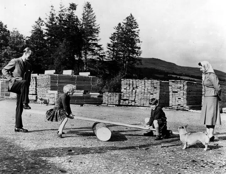 Charles and Anne play on a seesaw while their parents watch at Balmoral Castle.
Photo: Getty 