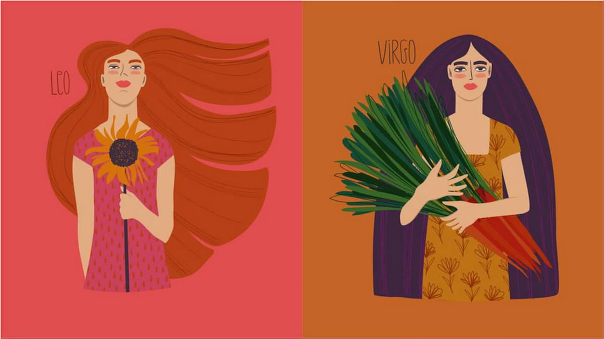 Leo Virgo