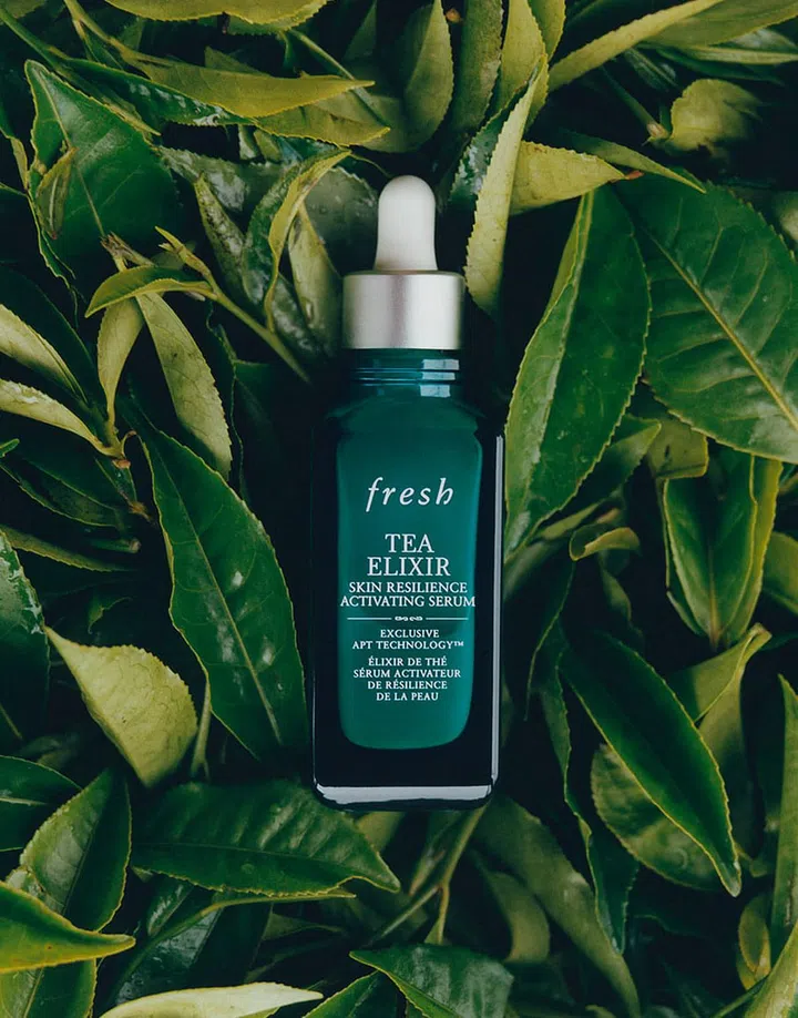 The New Fresh Tea Elixir Serum Helps Your Skin Get Ready For