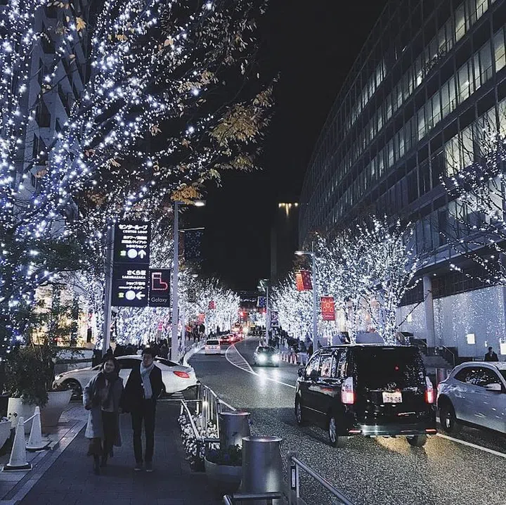 Roppongi Hills decked out in festive lights 