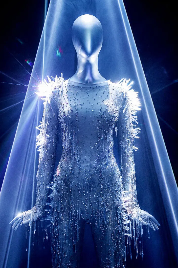 hbsg-swarovski-masters-of-light-8