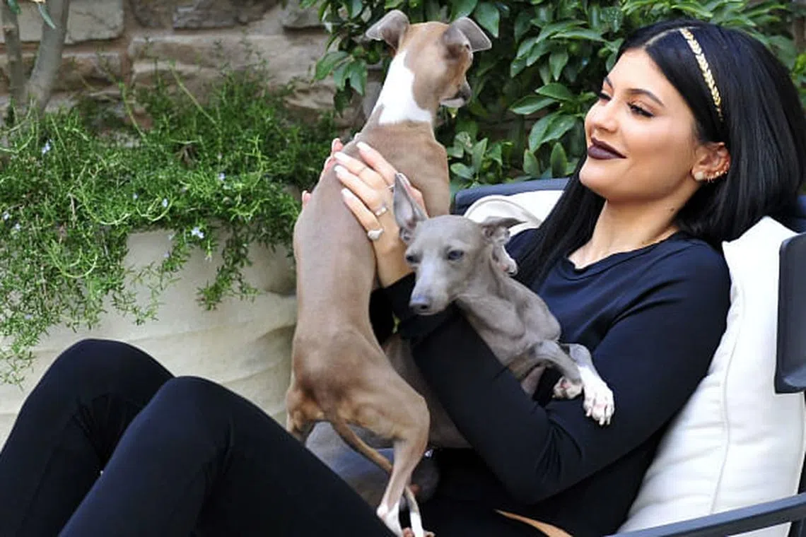 Did Kylie Jenner Really Spend 50,000 On A Dog? Harper's Bazaar Singapore