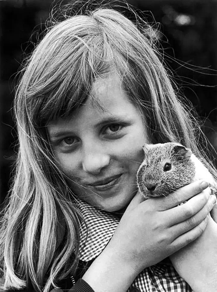 Diana grew up surrounded by dogs, cats, hamsters, rabbits, and horses. “She loved animals when she was a child,” her mother said. “She loved everything that was small and furry or had feathers.” Diana learned to ride horses before she was four, but after she broke her arm in a riding accident, her love faded. Still, her empathy for all living creatures would be a hallmark of her life. Here she holds her pet guinea pig during a pet show in Sandringham. She brought her guinea pig to her first boarding school, Riddlesworth Hall, where she was made head of “Pets’ Corner,” where the students’ pets were housed.

