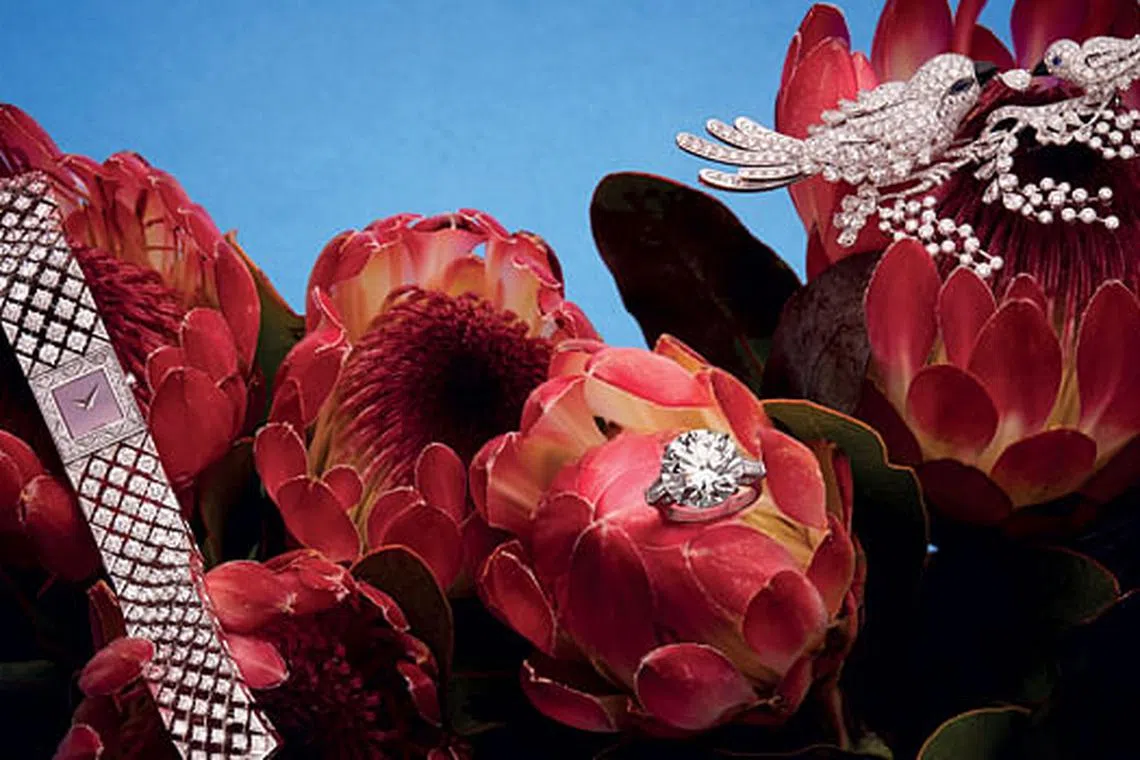 11 Dazzling Diamond Pieces That Are Fit For Royalty | Harper's Bazaar ...
