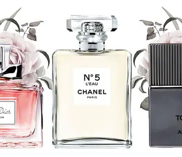 fragrance