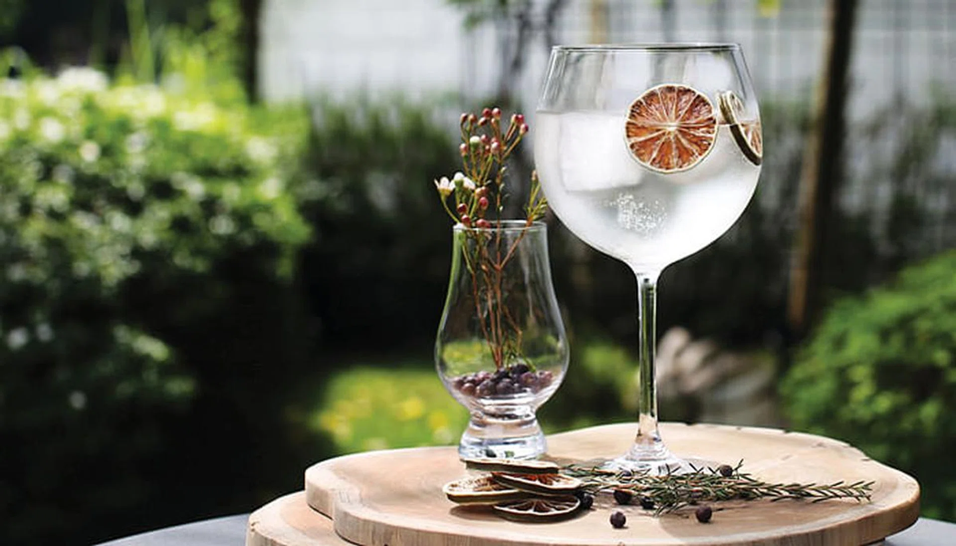 best cocktails