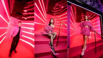 All The Celebrities At The Valentino Pink PP Party In Singapore