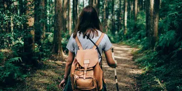 forest bathing