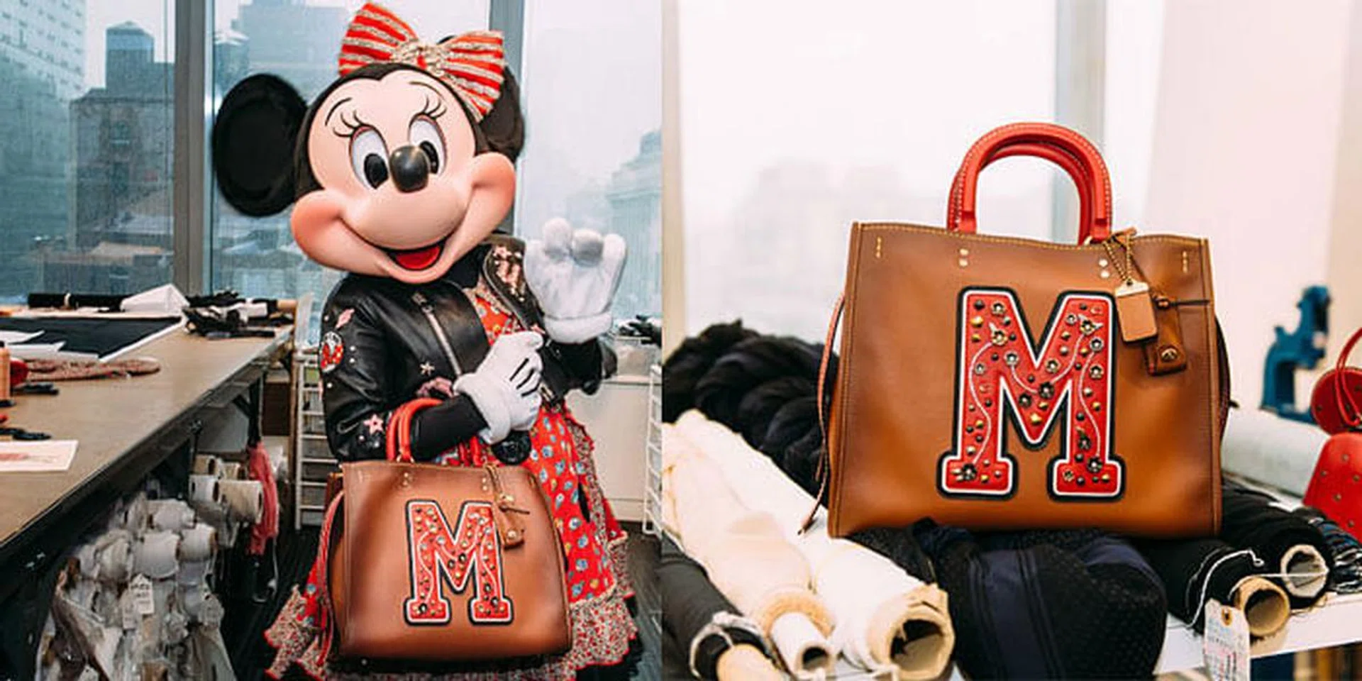Coach X Disney