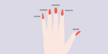 Nail shape