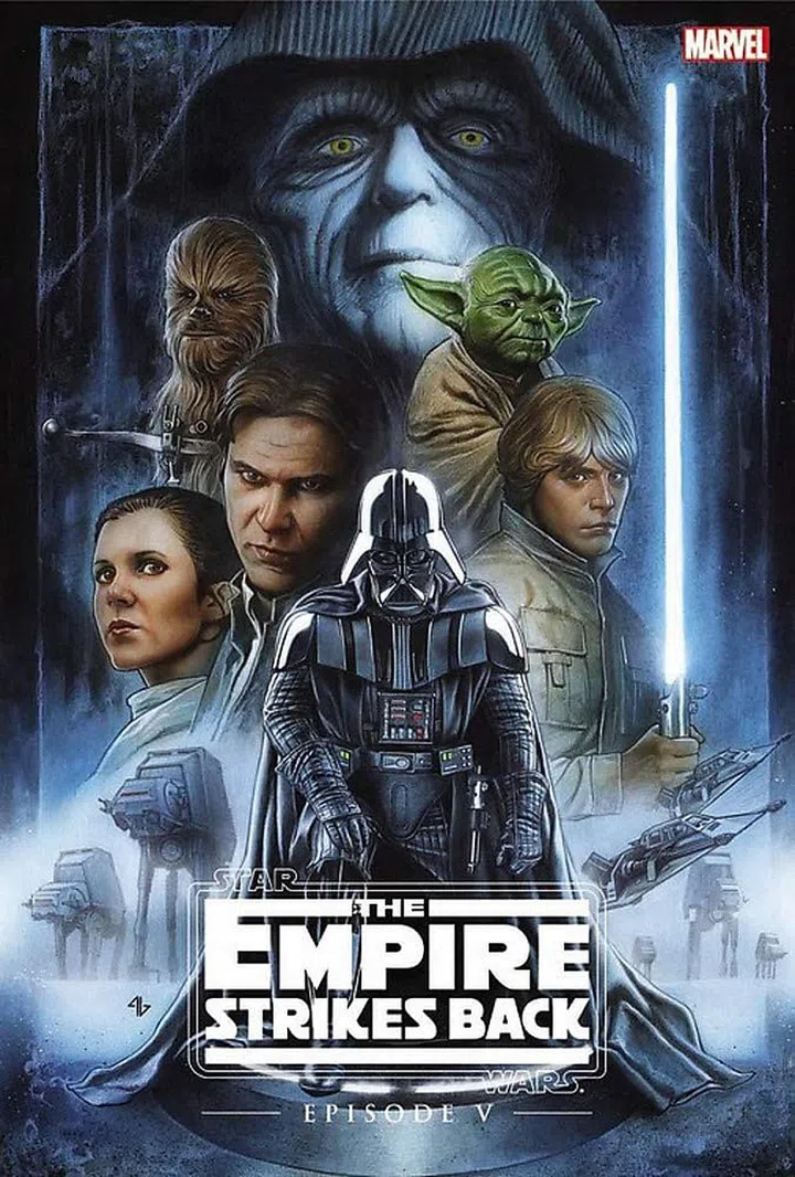Star Wars: Episode V: The Empire Strikes Back by Archie Goodwin, from $34, Amazon.sg