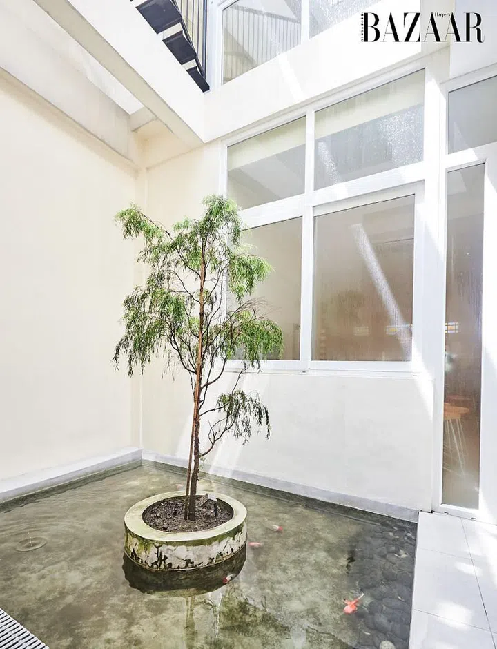 A goldfish pond was created at the bottom of the airwell, from which light enters the house. 