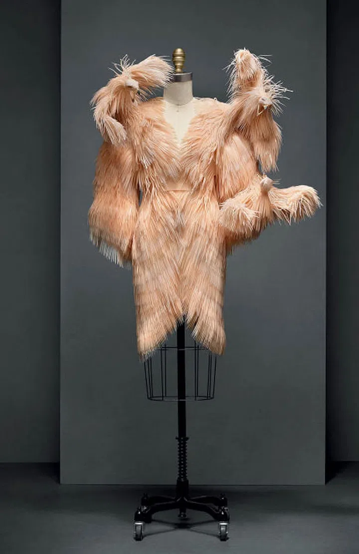 Dress, Iris van Herpen (Dutch, born 1984), autumn/winter 2013-14 haute couture; The Metropolitan Museum of Art, Purchase, Friends of the Costume Institute Gifts, 2015 (2016.14). Photo: Nicholas Alan Cope 