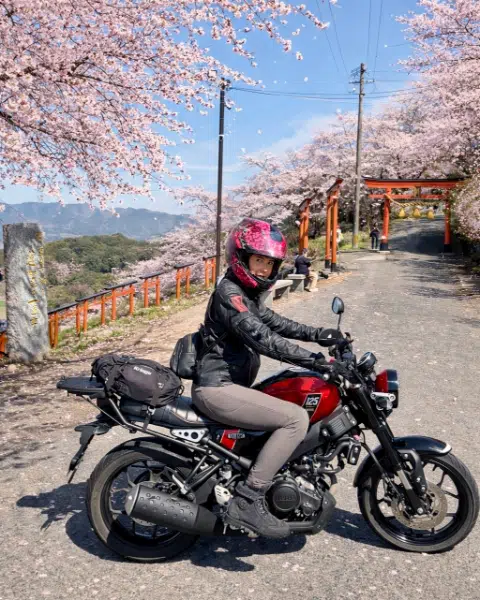 Riding among the cherry blossom trees in Japan