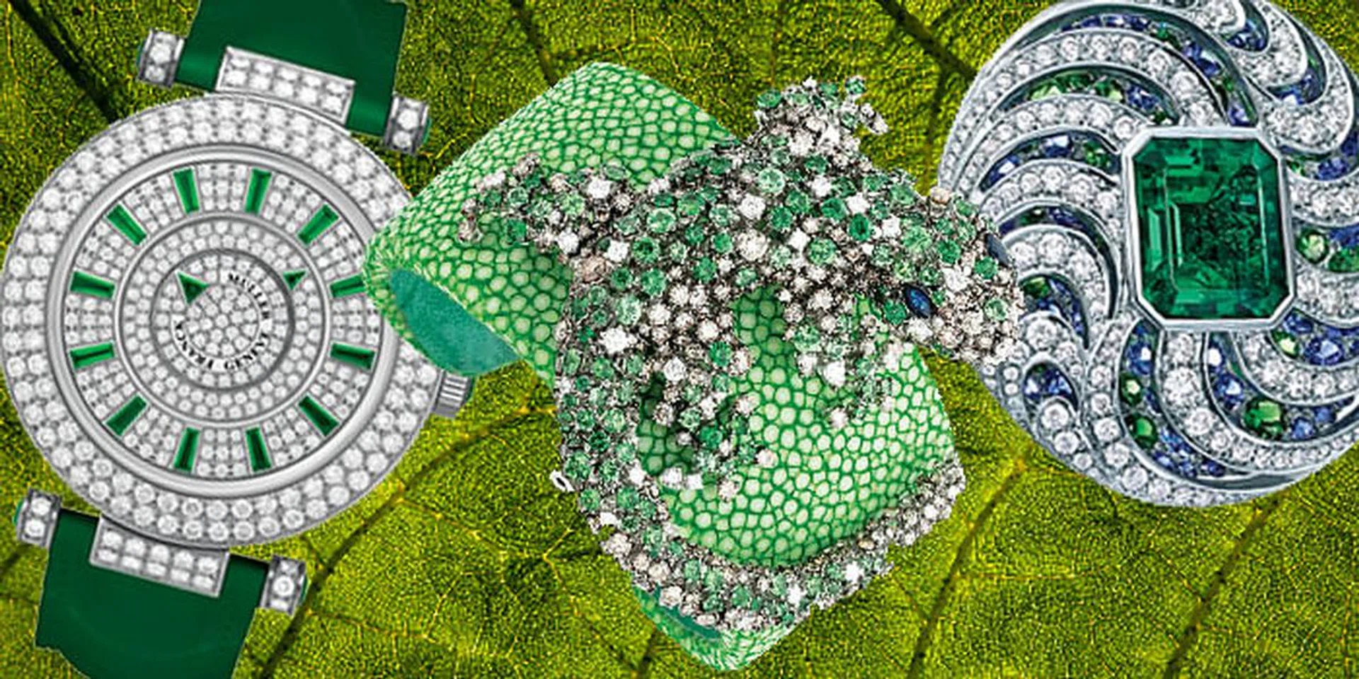 Into The Wild: Lush Greens For The Jewel Box