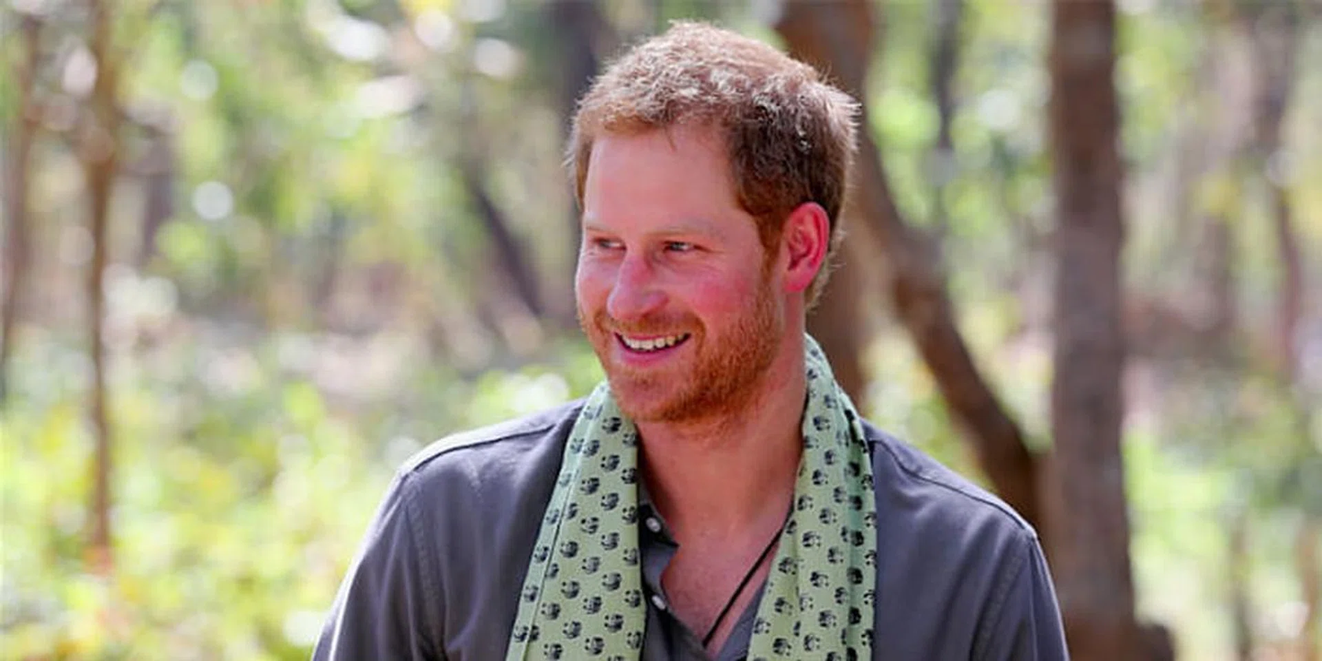 Prince Harry
