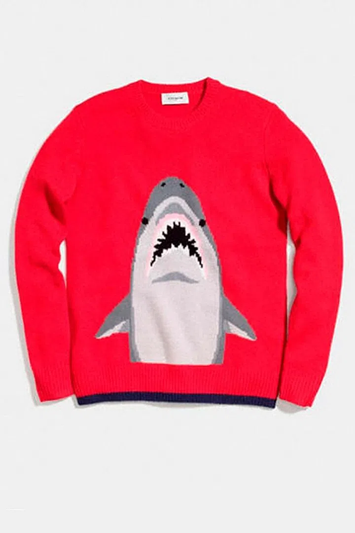 Knitted jumper, £475, Coach