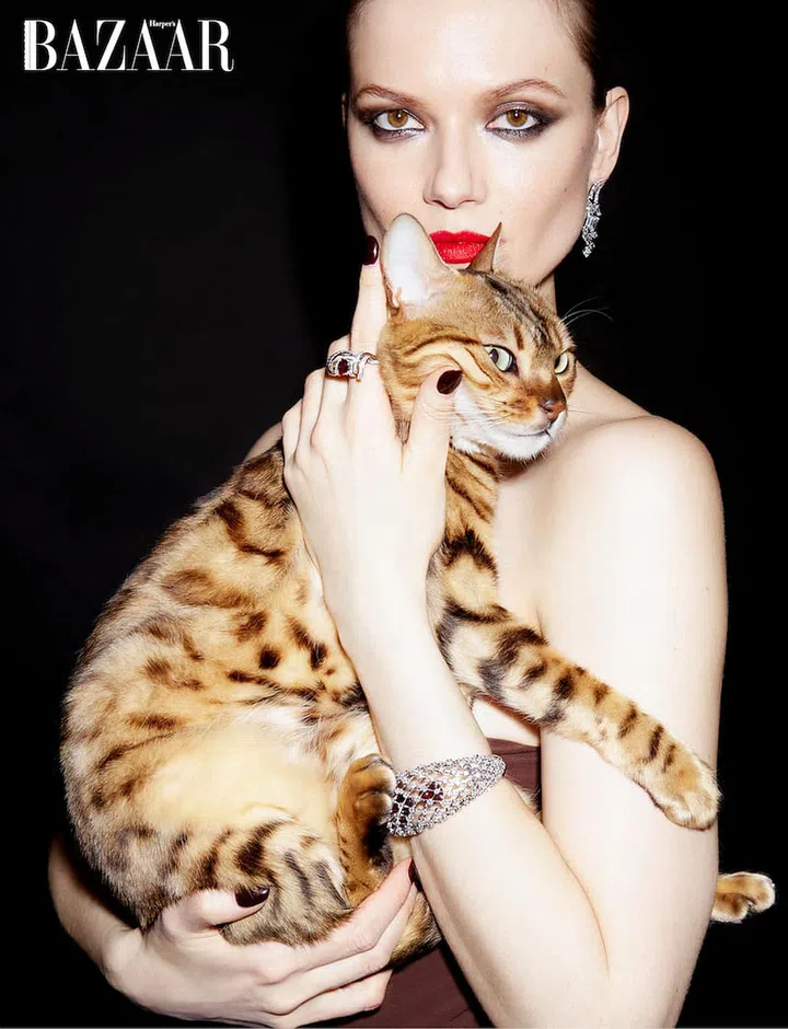 Swimsuit, Jade Swim. White gold and diamond Déferlante earring; white gold, ruby and diamond Torsade de Chaumet ring; white gold, rubellite and diamond Perspectives
de Chaumet – Lacis
cuff, Chaumet. (Photo: Claire Rothstein)