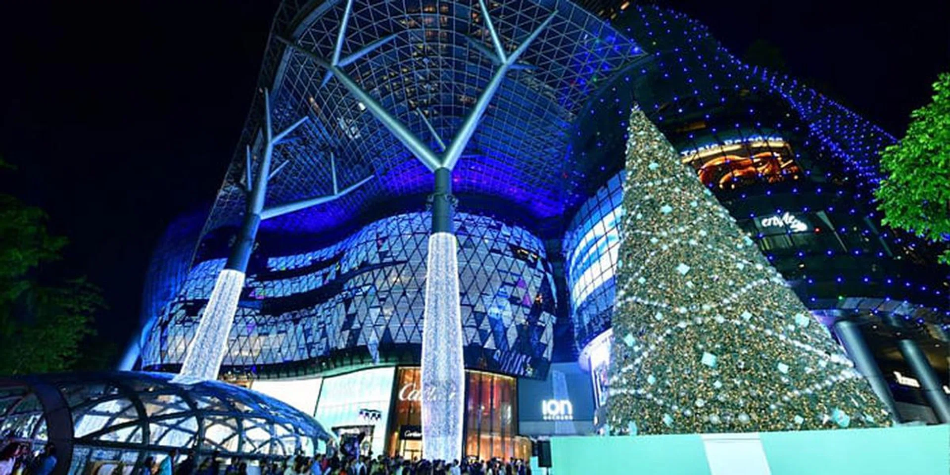 ION orchard