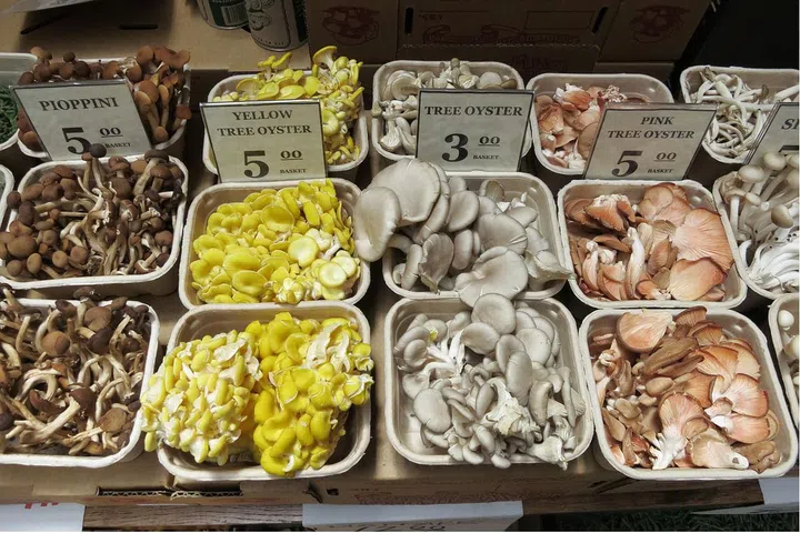 One serving of mushrooms provides you with nearly 50 per cent of your recommended iron intake in one fell swoop – good news for vegetarians.
Iron is essential in transporting oxygen through the bloodstream – without an efficient oxygen supply, we can feel tired and lethargic.
Add some to your lunchtime salad or make a nourishing soup to avoid that mid-afternoon slump.