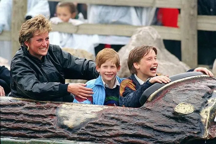 Princess Diana, Prince William, Prince Harry