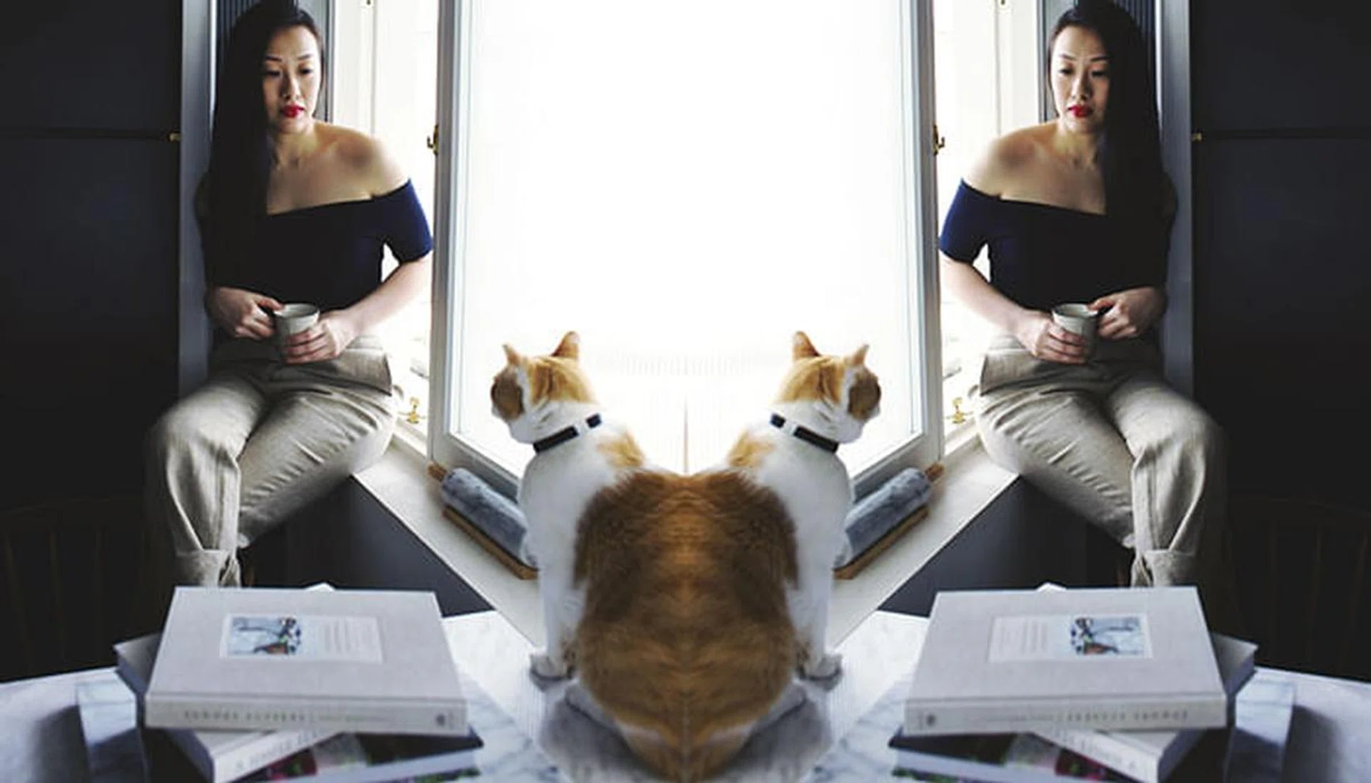 bella koh catslavery