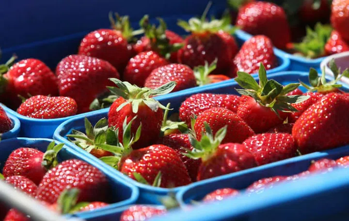 These scarlet berries hold an impressive vitamin C content that encourages collagen production, thus keeping the skin and tissues taut. They also contain flavonoids (a plant-based compound) that defend the body against cancerous growths. Photo: Getty