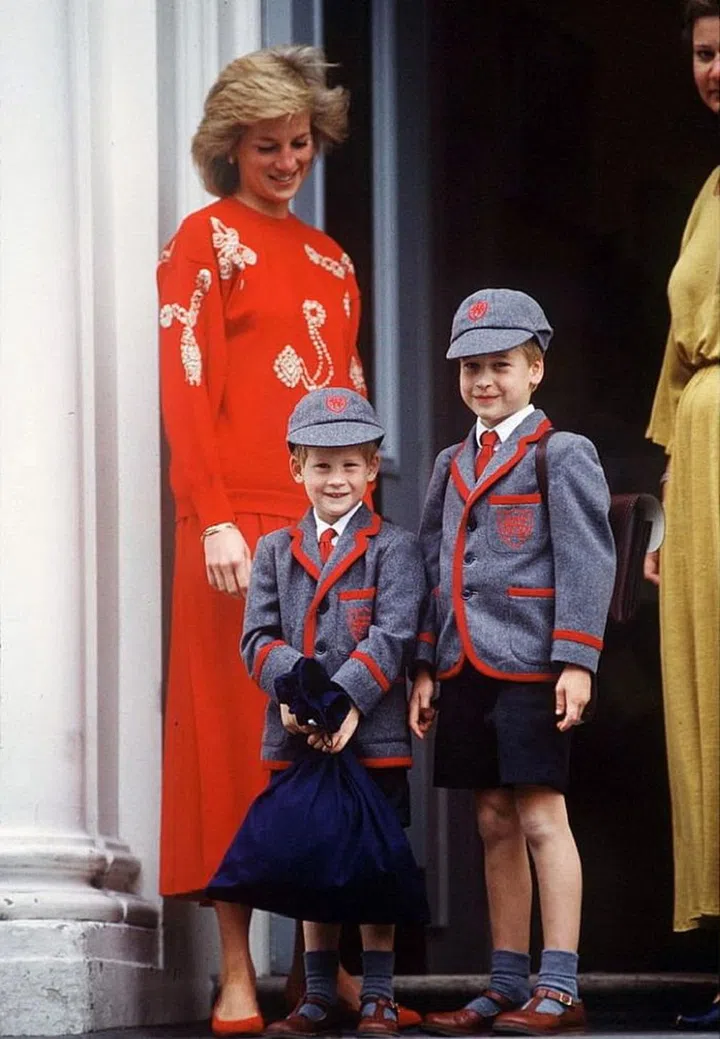 Princess Diana, Prince Harry, Prince William
