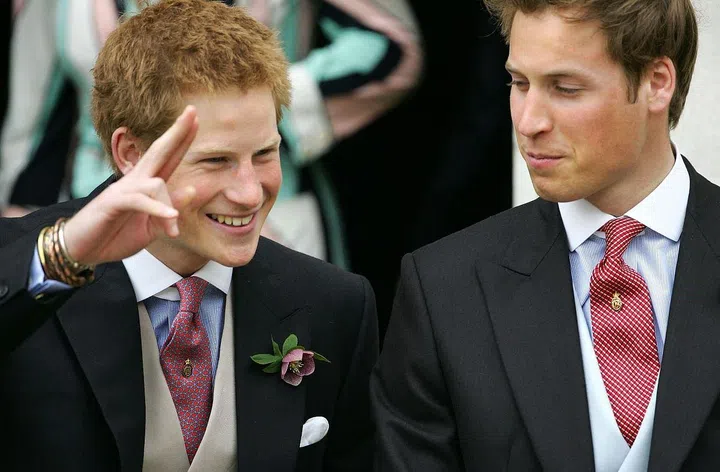 Prince Harry, 20, and his brother Prince William salute their father Prince Charles after his wedding to Camila Parker-Bowles.
