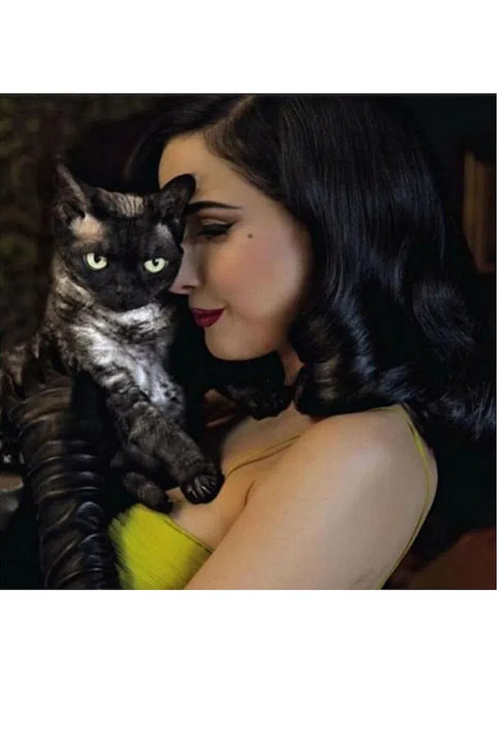 Aleister von Teese, also known as the Bat, has his own Instagram account, @aleistervonteese. He's one of three Devon Rex cats that belong to the burlesque queen and entrepreneur. Photo: Instagram