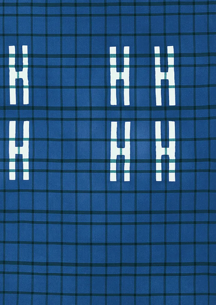 Handwovenn Clamp Dye plaid, from Hermes.
