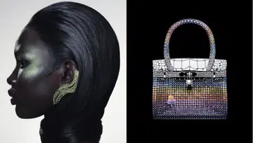 hermes the shape of colours high jewellery collection 2024 earring and birkin