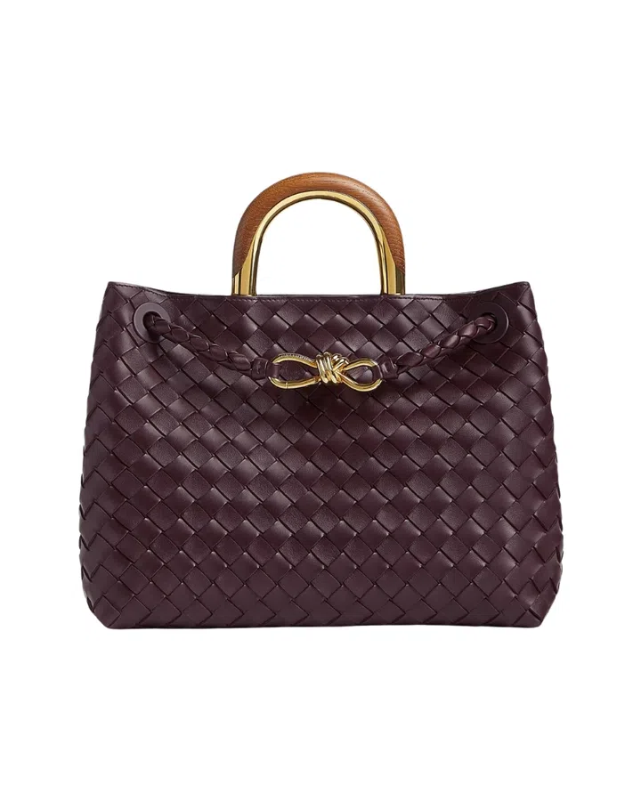 Bottega Andiamo Bag
