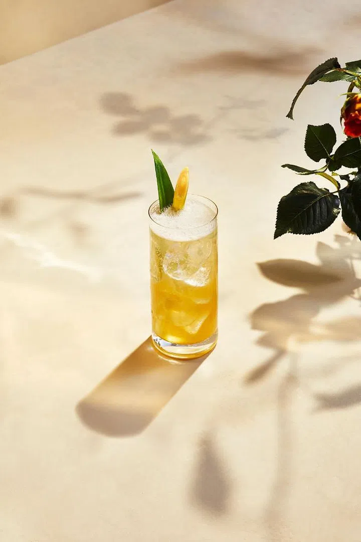 Green Tea Highball 

Photo: Courtesy