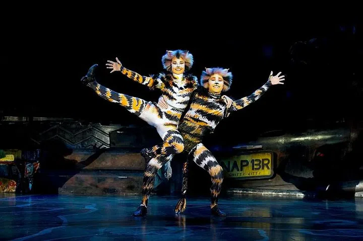 CATS