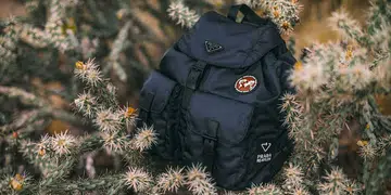 Prada Renylon
