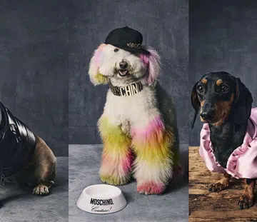 moschino-pets-jeremy-scott-2021