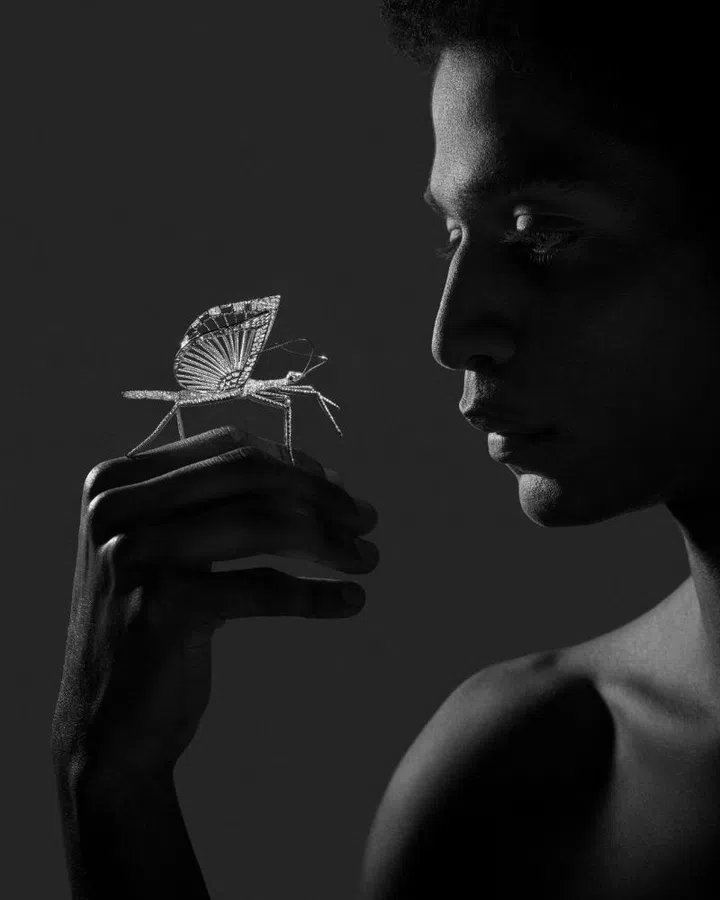 Composition No. 2 stick insect brooch in white gold and diamond.