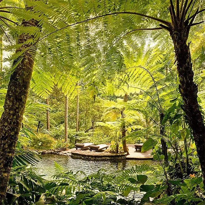 Just north of Ubud, COMO Shambhala’s breathtaking emerald-green rainforest backdrop seems to possess a Shakespearean enchantment. A holistic health retreat, complete with a resident dietitian and Ayurvedic doctor, it attracts the most zealous of wellness vacationers, who are often participating in an individualized cleansing or self-betterment program. At the estate’s epicenter is the spa, minimalist in design and maximalist in its offerings. During a press tour, I received the Shirodhara, a mind-quieting Ayurvedic treatment that begins with a full-body massage, after which a continuous stream of aromatic, medicated oils is poured over the third eye, filtered through a steampunk-y brass pump. The effect was trance-like. Others go for the bespoke acupuncture program; joint-mobilizing massage conducted inside the property’s alkaline, hydrojet Vitality Pool; or Hydradermie facial, which sends a mild electric current through the skin to achieve peak radiance.