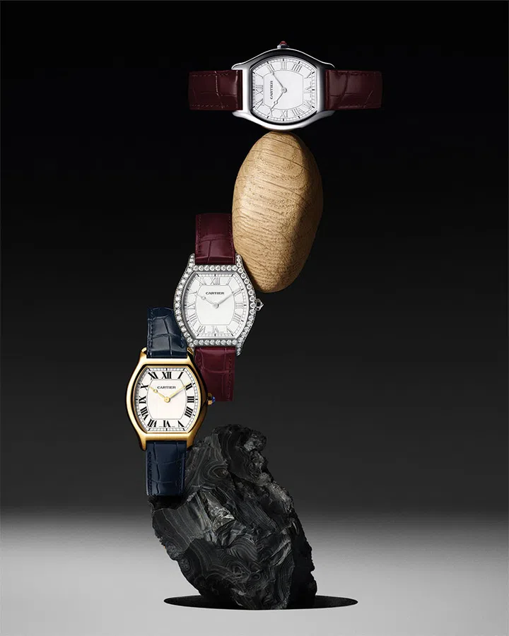 The Best Cartier Shape Watches At Watches And Wonders 2024 | Harper's ...