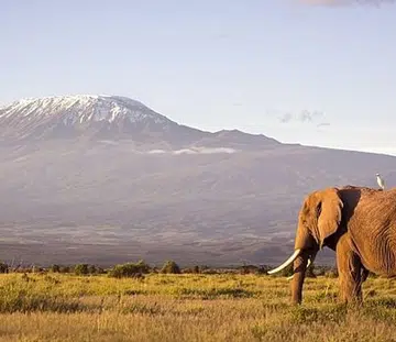 Tanzania