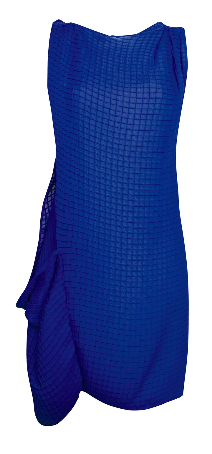 Dress, Vionet
