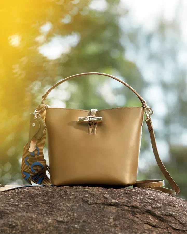 Longchamp Le Roseau bag