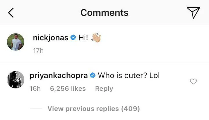 nick priyanka