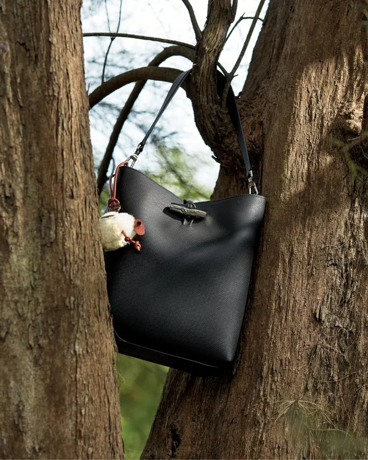Longchamp Le Roseau bag