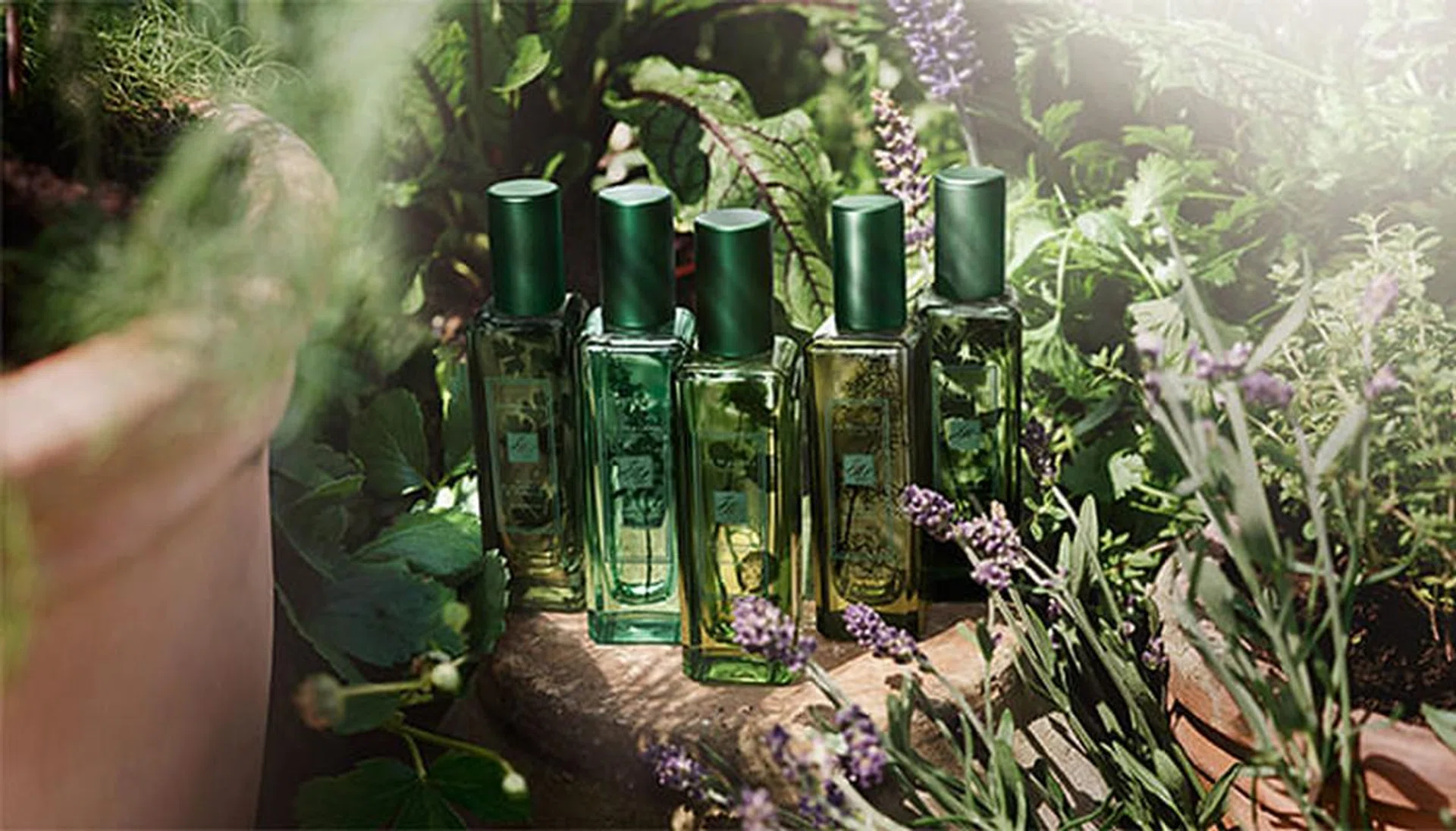 jo malone herb garden