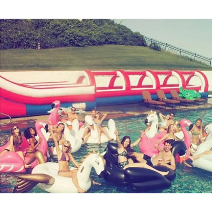Swan squad. Photo: Instagram