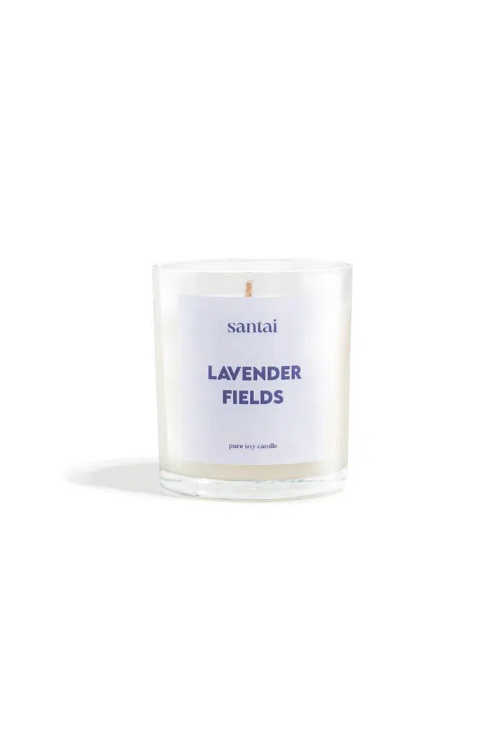 Christmas gift guide 2024 colleagues secret Santa under $50 lavender candle Santai