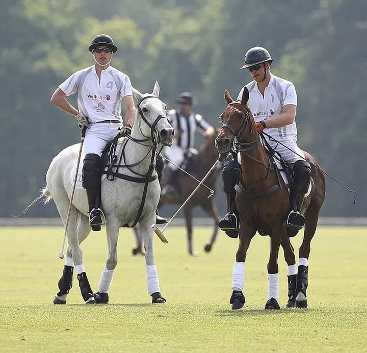 William and Harry playing polo, May 2016. Photo: Getty 