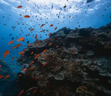 Nusa Penida Marine Protected Area
